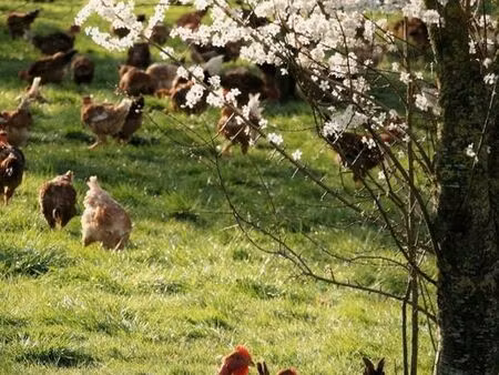 recherche terrain agricole
