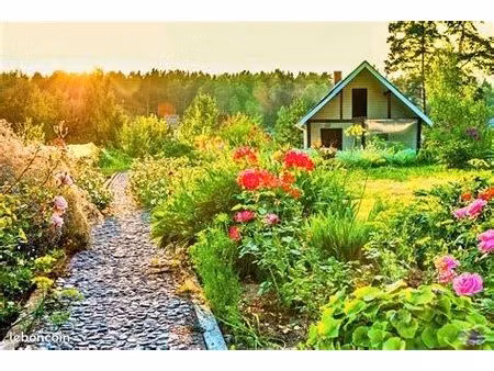 t2bis maison + jardin