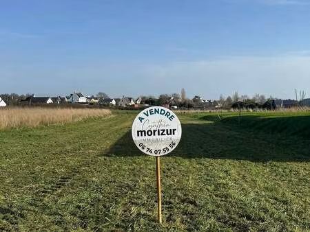 vente terrain à plouhinec (29780) : à vendre / 2720m² plouhinec