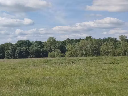 vente terrain à construire 1020 m² blasimon (33540)