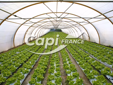 terrain à vendre saint pourcain sur sioule 450000m2 644 000€