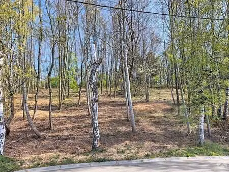 bois de la pierre à wavre - terrain à bâtir