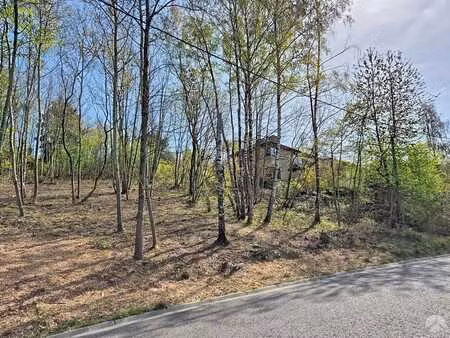 bois de la pierre à wavre - terrain à bâtir