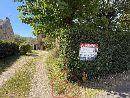 naos immobilier