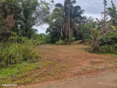 terrain constructible