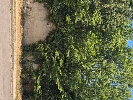 vente terrain constructible