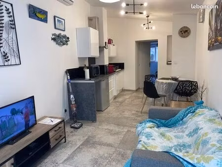 pelussin t2 meublé terrasse privée