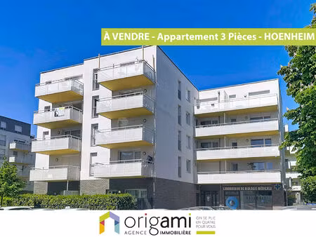 appartement 3 pièces hoenheim