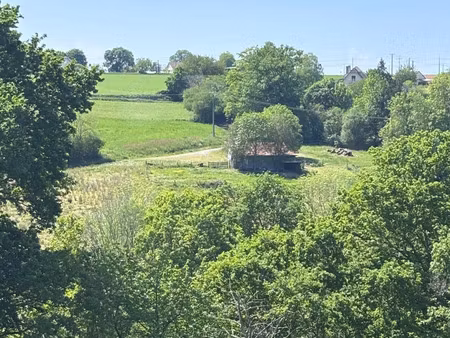 vente terrain 80817 m² saint-castin (64160)