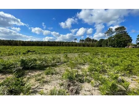 terrain lit-et-mixe m² t- à vendre  130 000 €