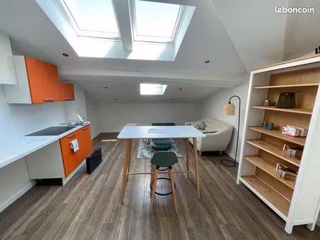 appartement meublé croix rousse