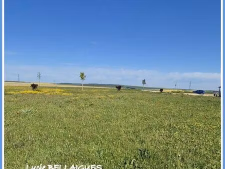 terrain constructible viabilisé à vendre
