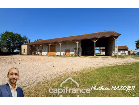 local professionnel à vendre tronchy 1 pièce(s) 1100m2 75 000€