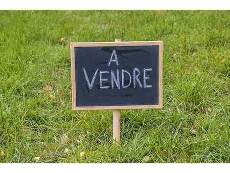 vente terrain  425.00m²  le petit