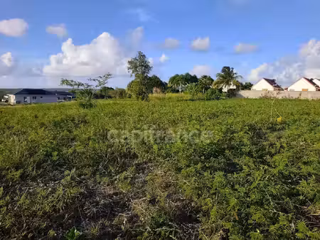 terrain à vendre anse bertrand 500m2 102 000€