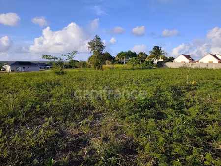 terrain à vendre anse bertrand 500m2 105 000€