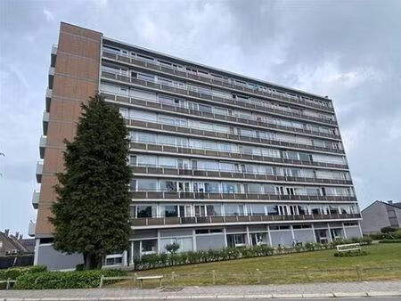 appartement à louer à bornem € 795 (lnv3v) - trevi axus vastgoed | zimmo