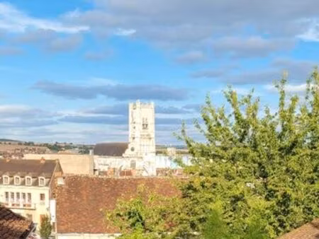 duplex lumineux en centre ville d'auxerre