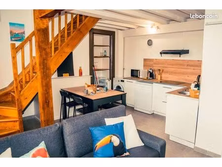 appartement mezzanine proche gare  theatre