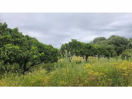 terrain constructible à vendre