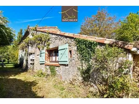 vente maison à saint-andré-sur-sèvre (79380) : à vendre / 112m² saint-andré-sur-sèvre