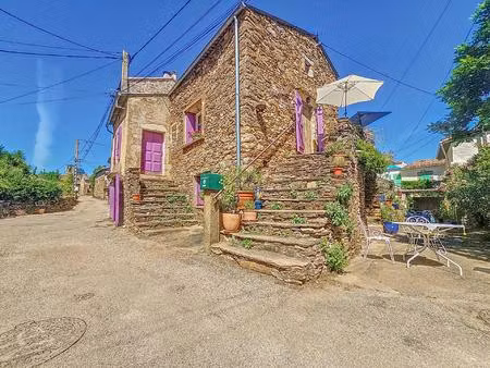 charmante maison en pierres avec terrasse et garage