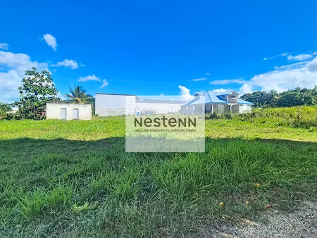 a vendre un terrain a batir de 800 m2 à sainte-rose.