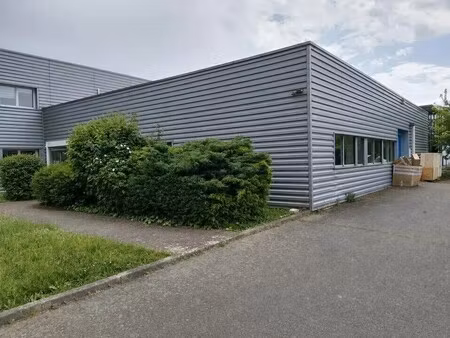 location local d’activités l union 31240 300m²