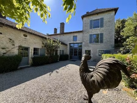 prestigieux château de 532 m2 en vente - colombey-les-deux-églises  france