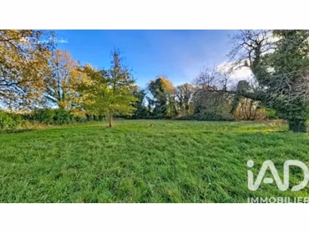 terrain à bâtir à allaire (56350)