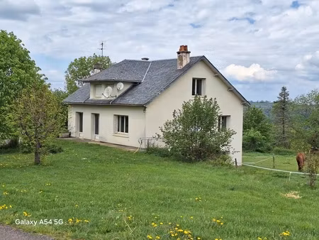 maison + bois