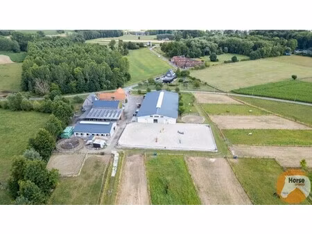 dilbeek - unieke paardeninfrastructuur op +-5 6ha