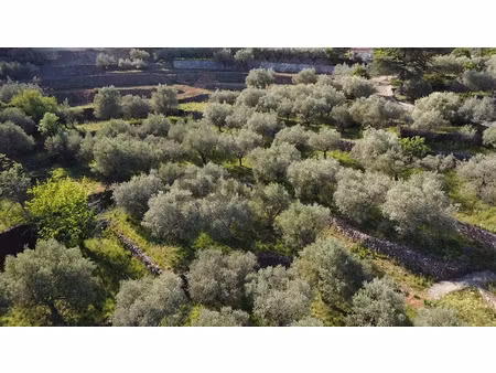terrain à batir