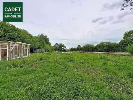 vente terrain au tanu (50320) : à vendre / 3045m² le tanu