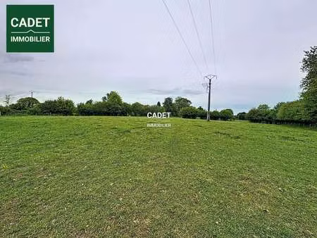vente terrain au tanu (50320) : à vendre / 5720m² le tanu