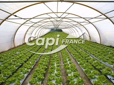 vente terrain saint pourcain sur sioule 03500 450000m²