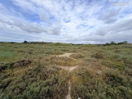 terrain agricole