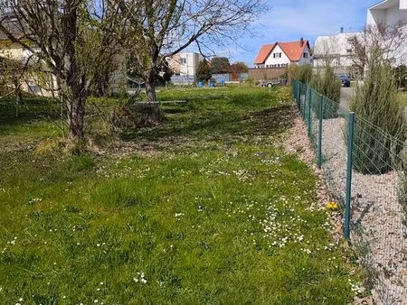 terrain 650m2