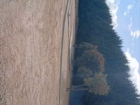 terain agricole 1100m