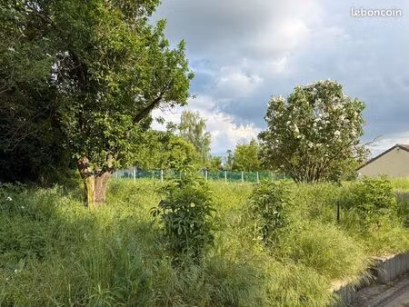 loue terrain pour animaux