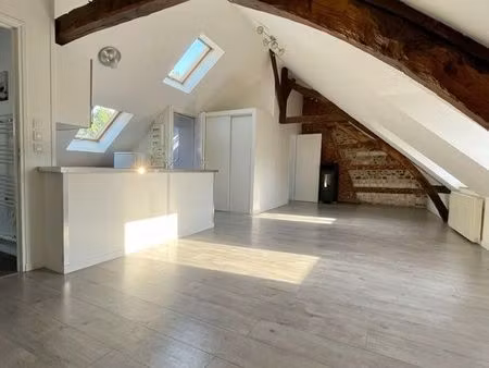 appartement sous combles  très lumineux en centre ville