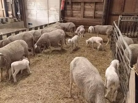 recherche bâtiment agricole à louer