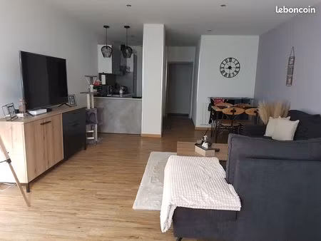appartement 55 m2
