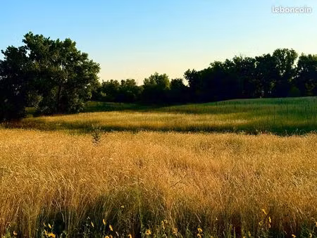 recherche prairie st germain sur moine
