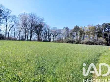 terrain à bâtir à camors (56330)