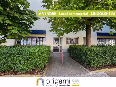 achat local commercial lingolsheim 67380