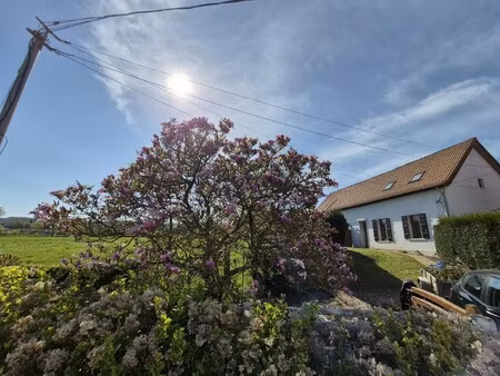 location maison 4 pièces 69m² lottinghen 62240