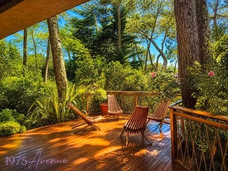 maison de 7 pièces de luxe en vente à lège-cap-ferret  france