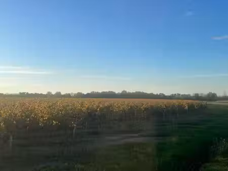 domaine viticole lussac st emilion