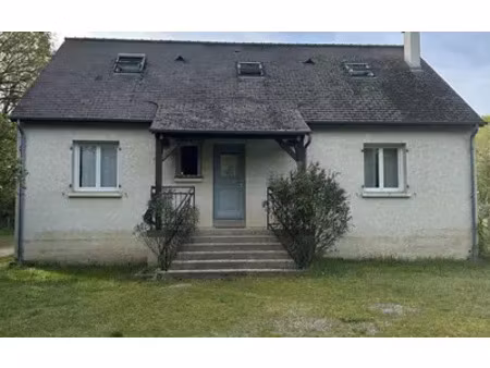savigny-en-véron (37420)